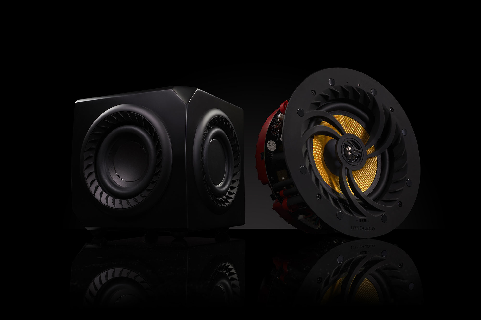 Lithe Audio Pro Ceiling Speaker